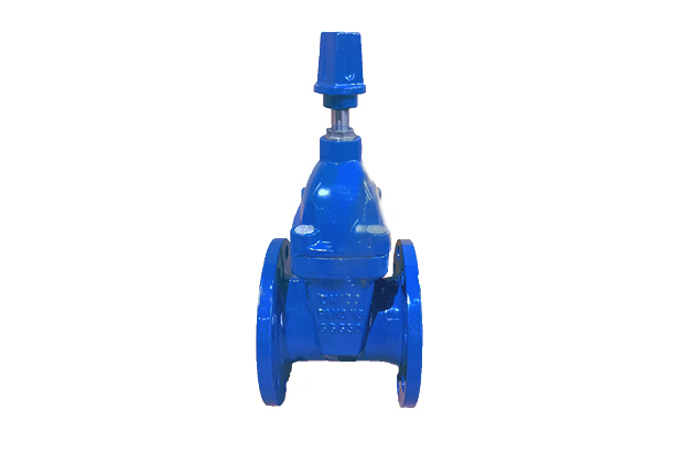 F4 Non-Rising Stem Resilient Seated Gate Valve with Cap